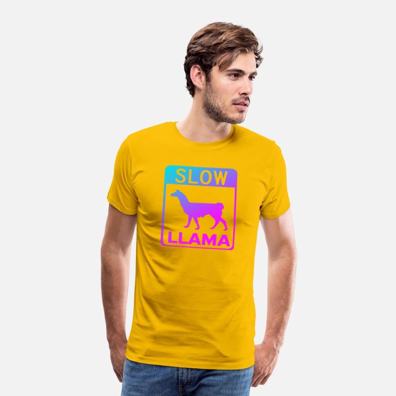 Phish Slow Llama
