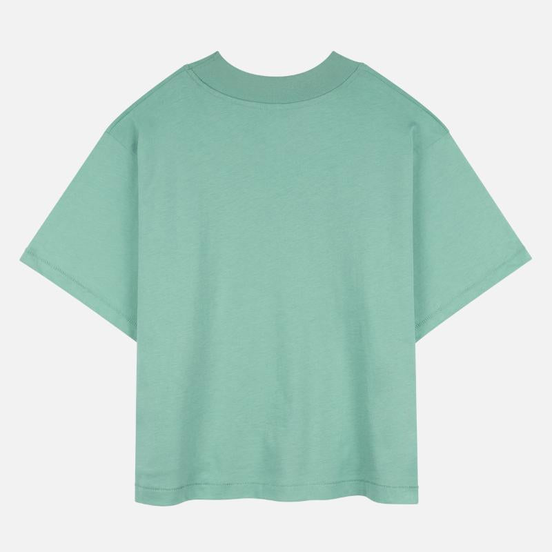 Dinosaur Boxer Martial Artist Sparring Sports