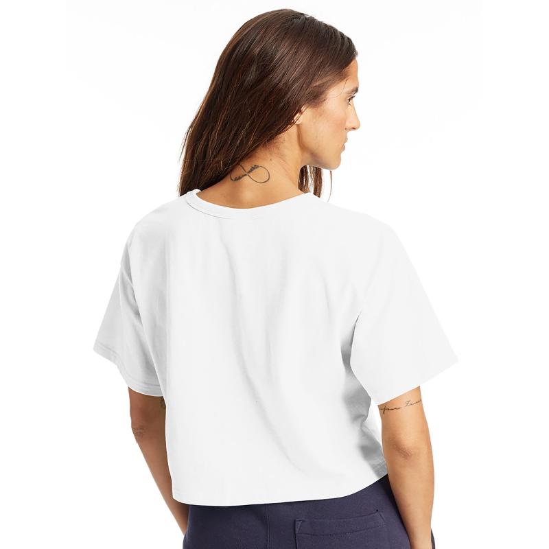 Signature Pineapple Bun 菠蘿包 bolo baau Cantonese