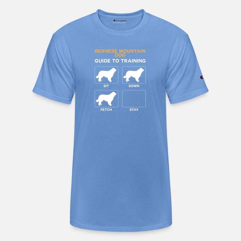 Bernese Mountain Dog Guide To Training