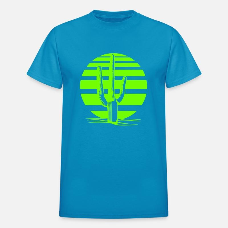 Cactus Desert Sunset Evening Sun Lines Night Cacti