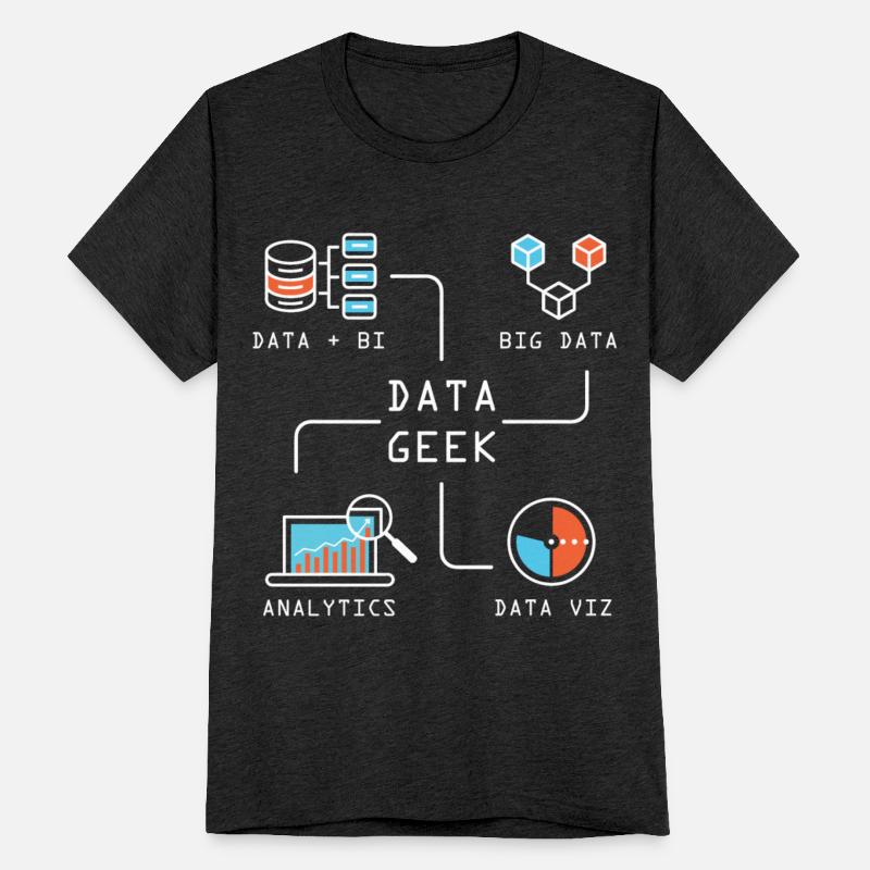 Data Geek Information Analyst