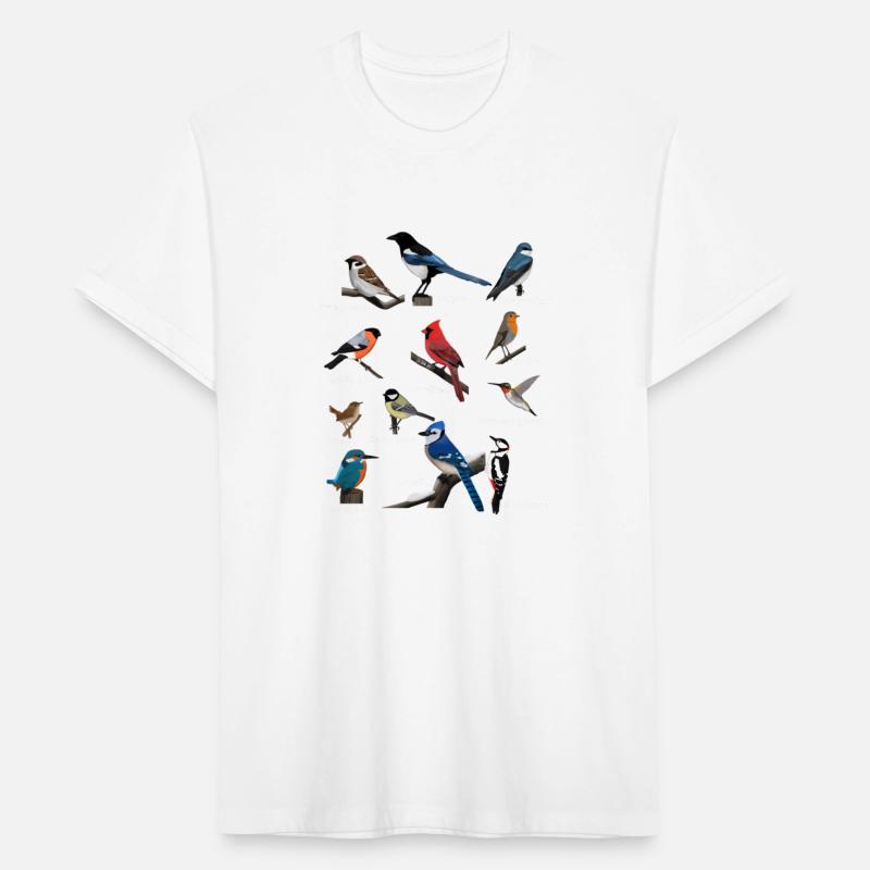 Garden Birds Cardinal Blue Jay Hummingbird Robin