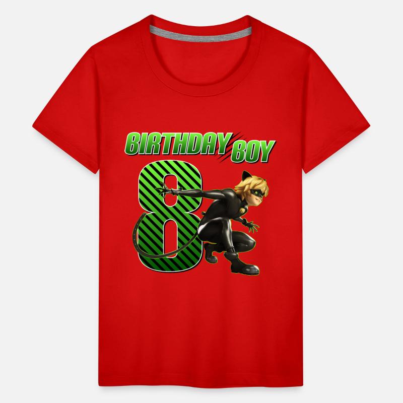 Miraculous Cat Noir 8th Birthday Outfit Gift