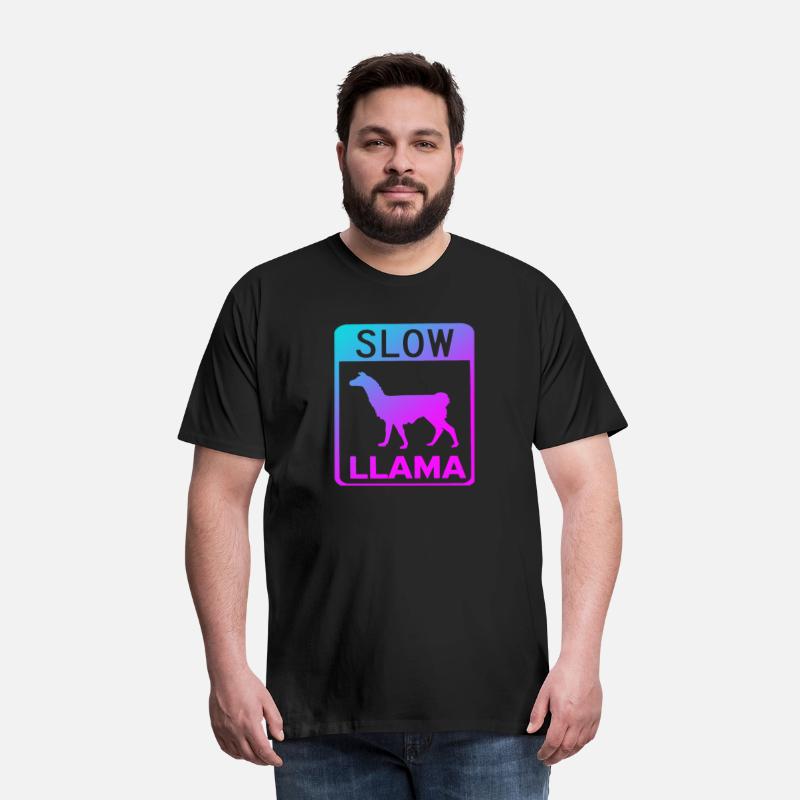 Phish Slow Llama
