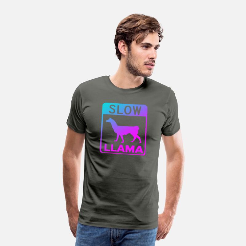 Phish Slow Llama