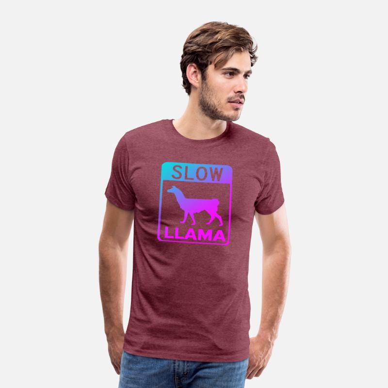 Phish Slow Llama