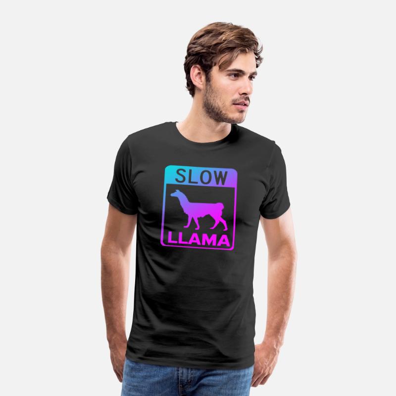 Phish Slow Llama