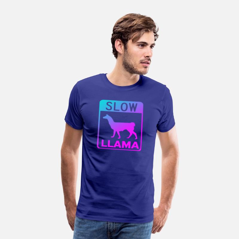 Phish Slow Llama