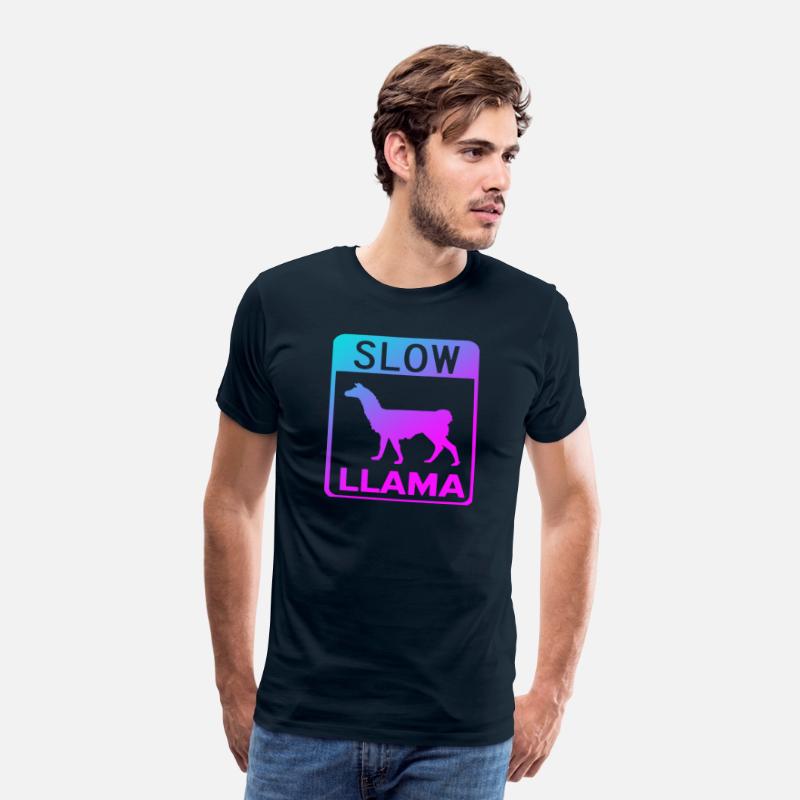 Phish Slow Llama