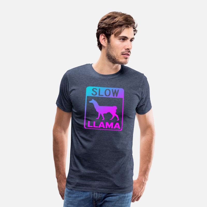 Phish Slow Llama