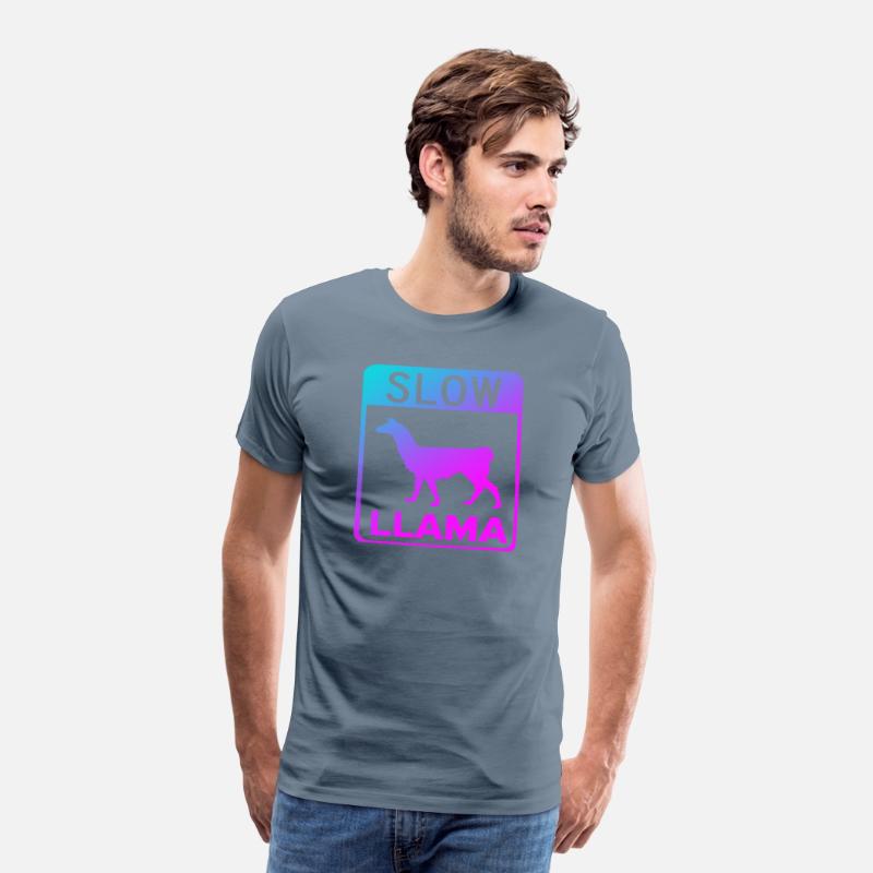 Phish Slow Llama