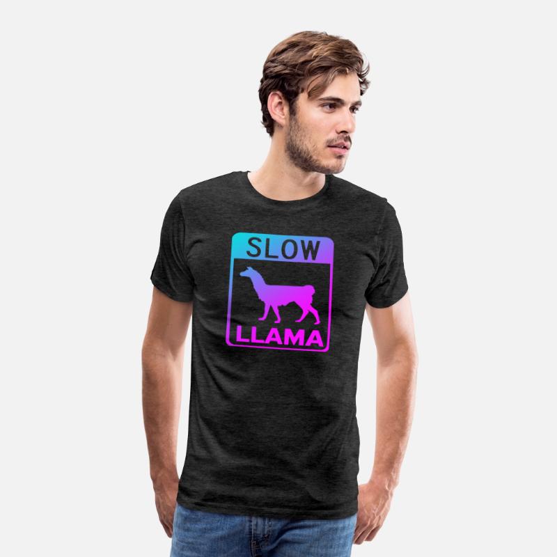 Phish Slow Llama