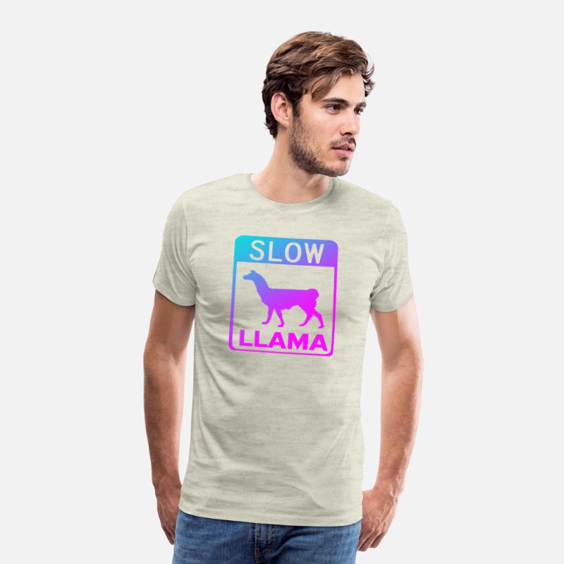 Phish Slow Llama