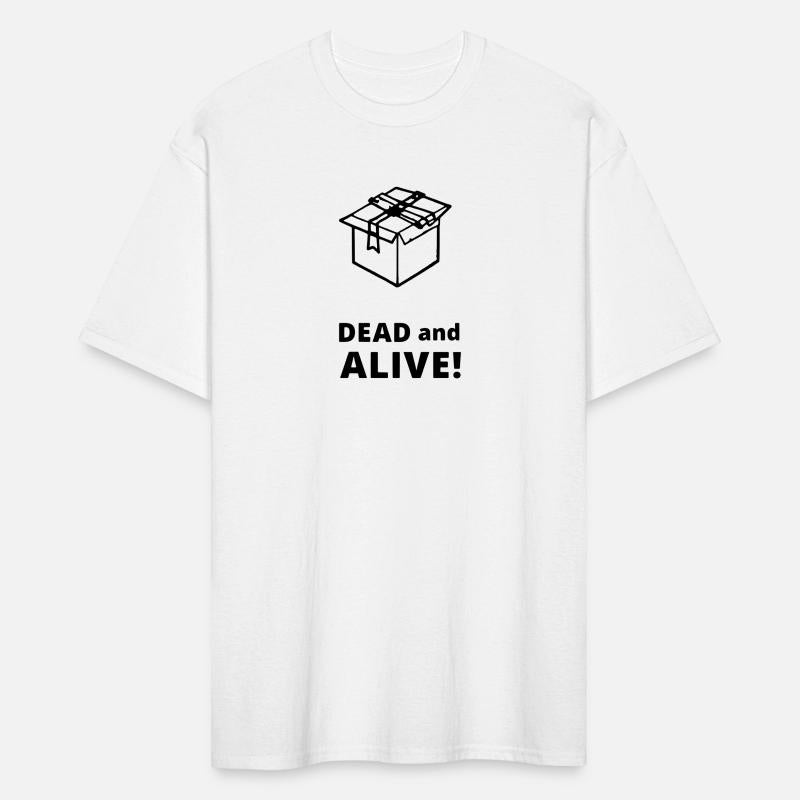 Schrödinger s box quantum paradox science path5