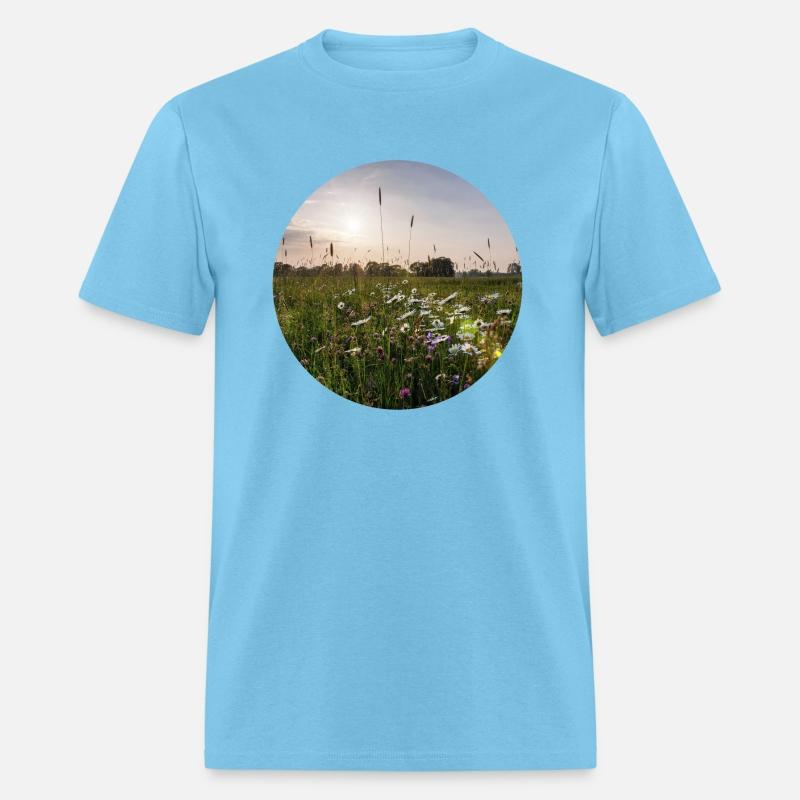 Sunny natural landscape with flowers